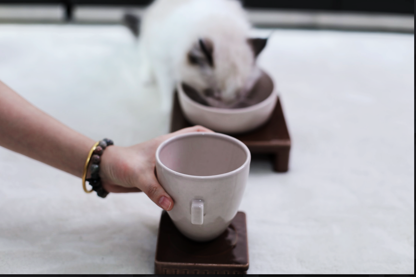 Ceramic Bowl Set