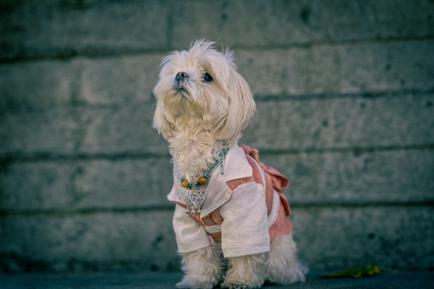 Asian Style Kimono