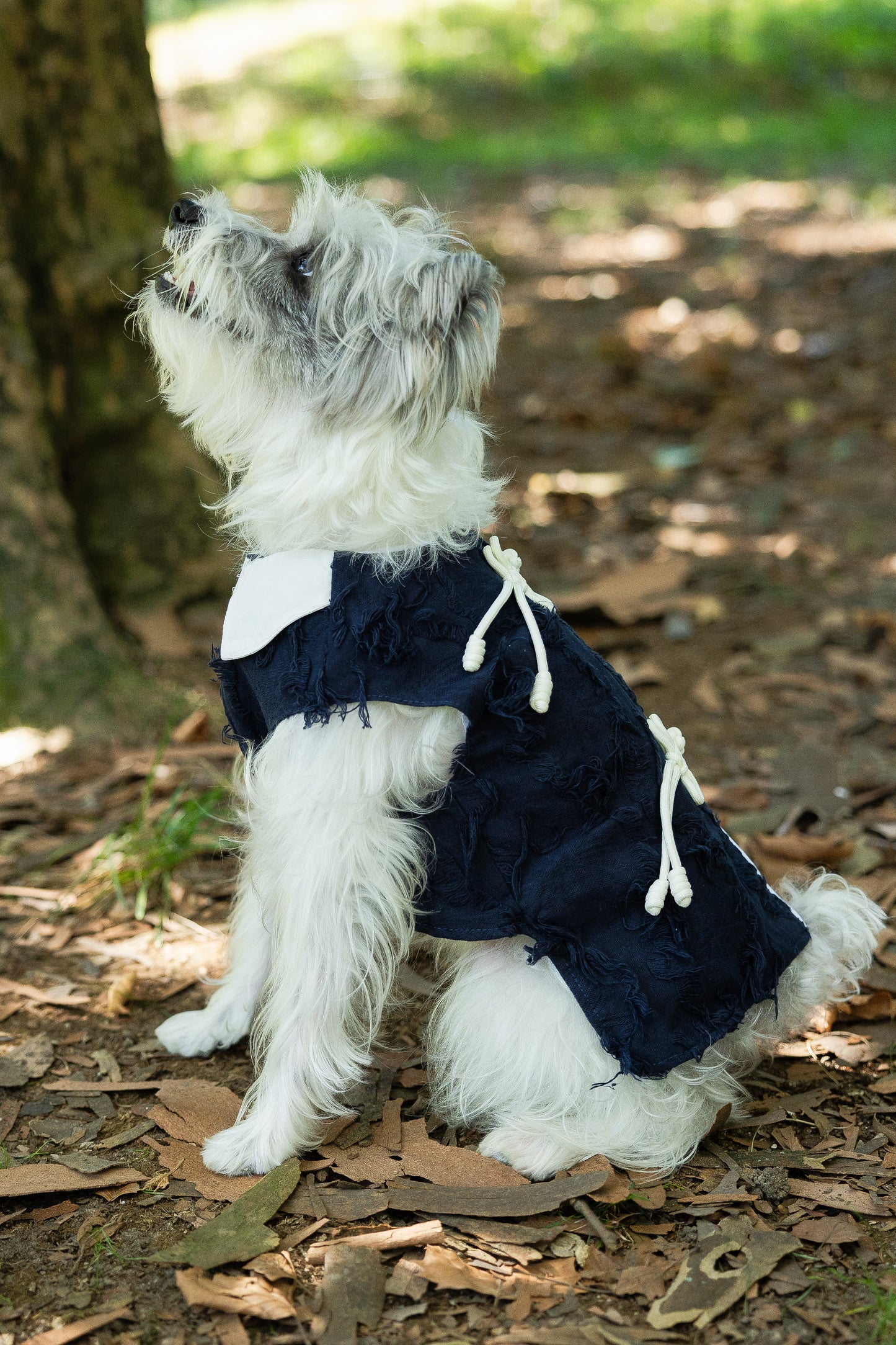 Oriental Tassel Vest