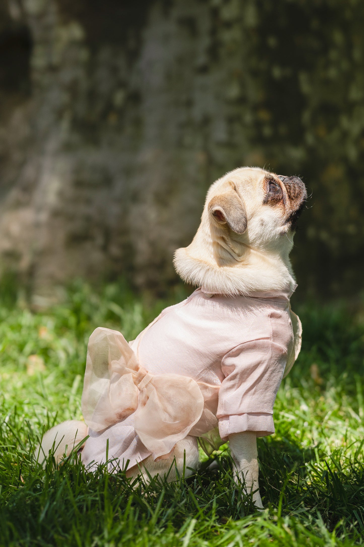 Mulberry Silk Bow-Tie Shirt