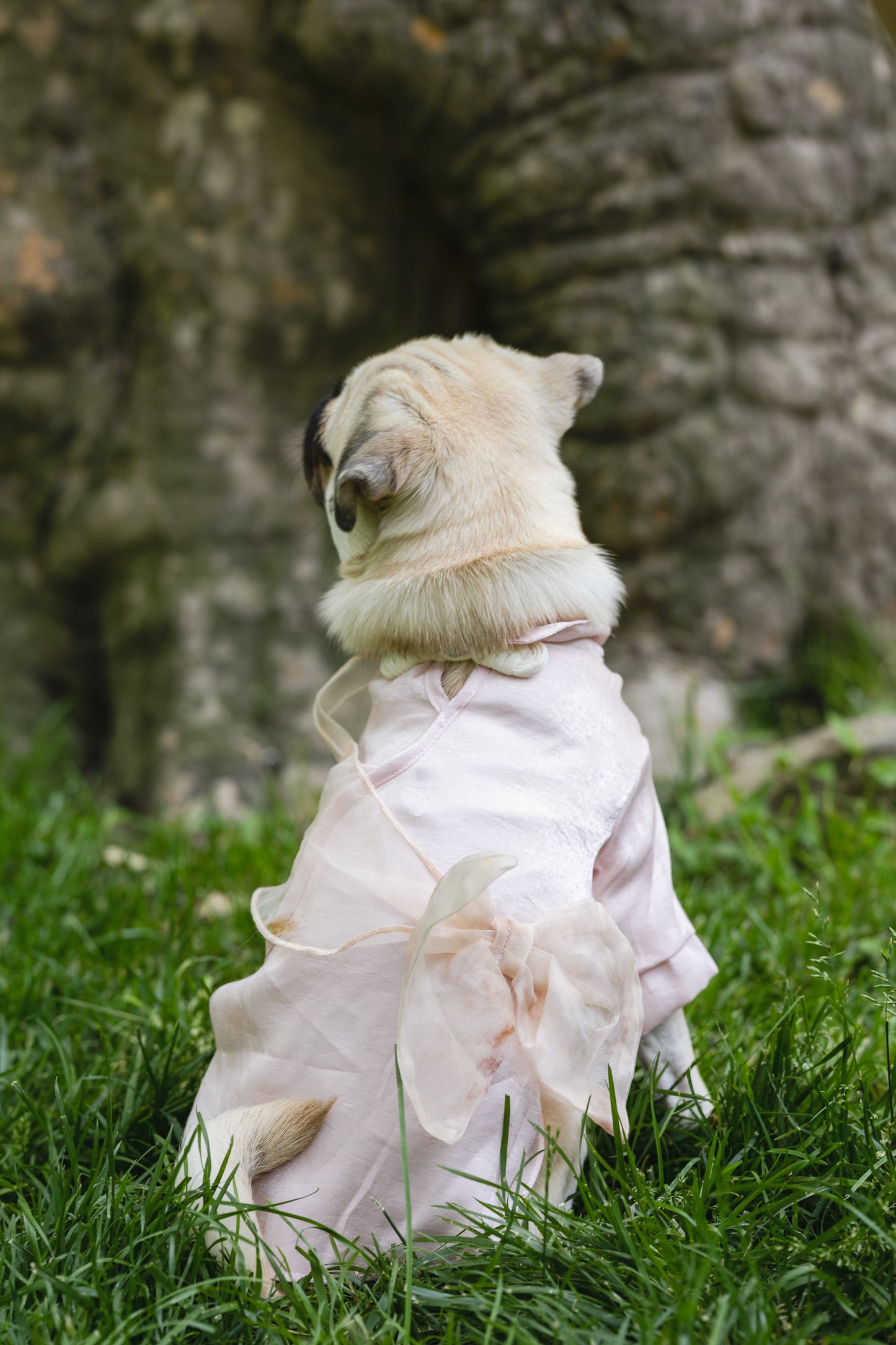 Mulberry Silk Bow-Tie Shirt