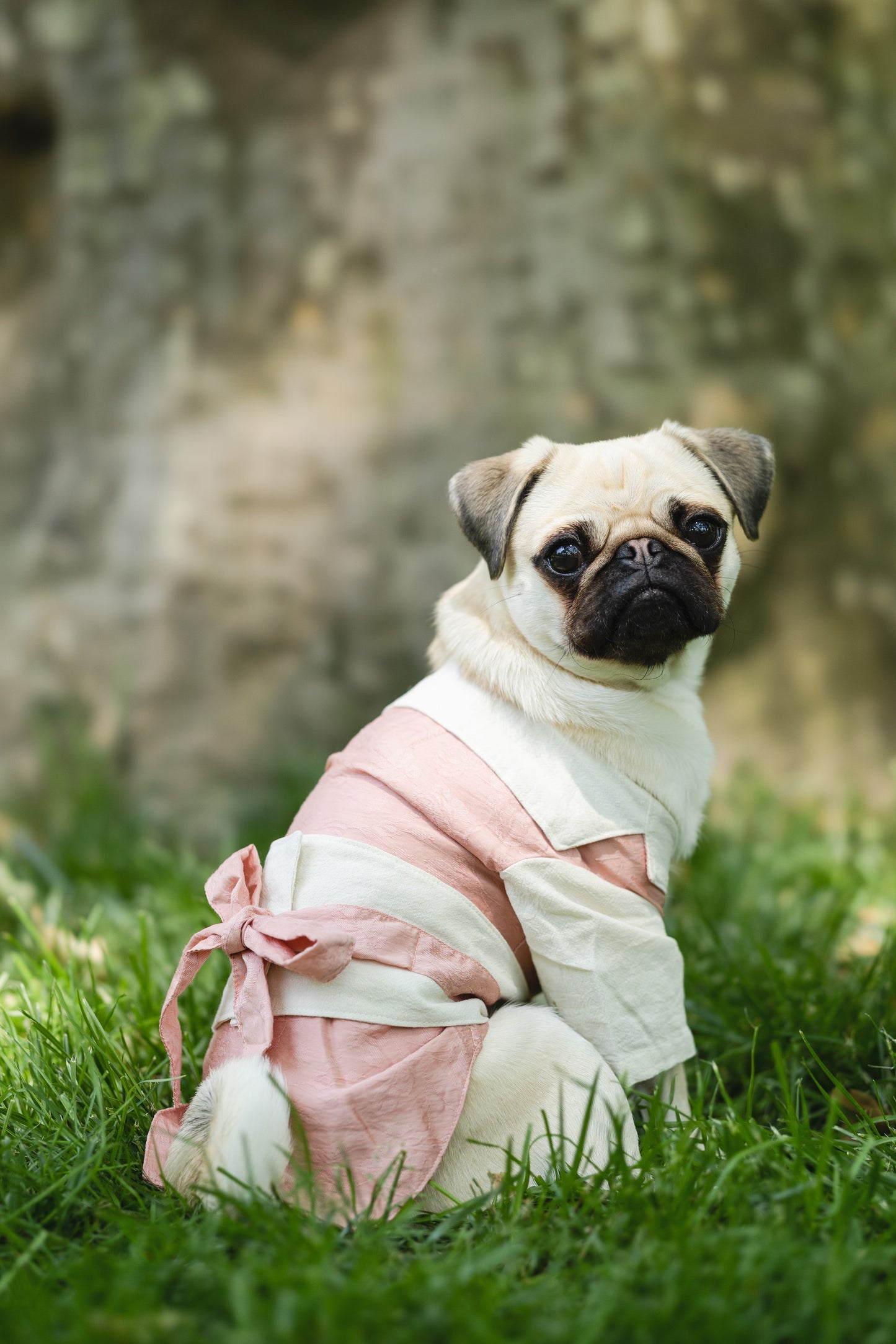 Asian Style Kimono