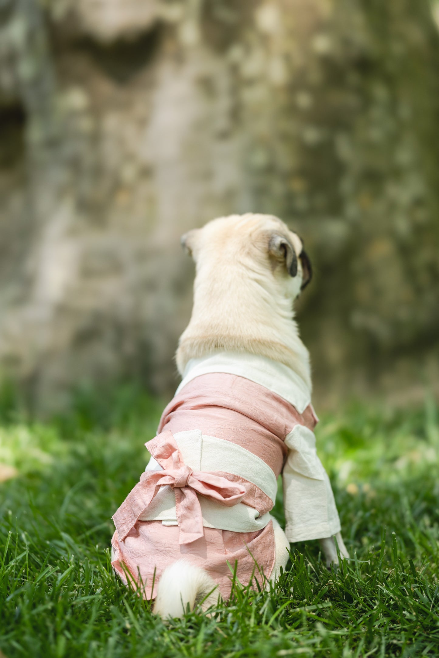 Asian Style Kimono