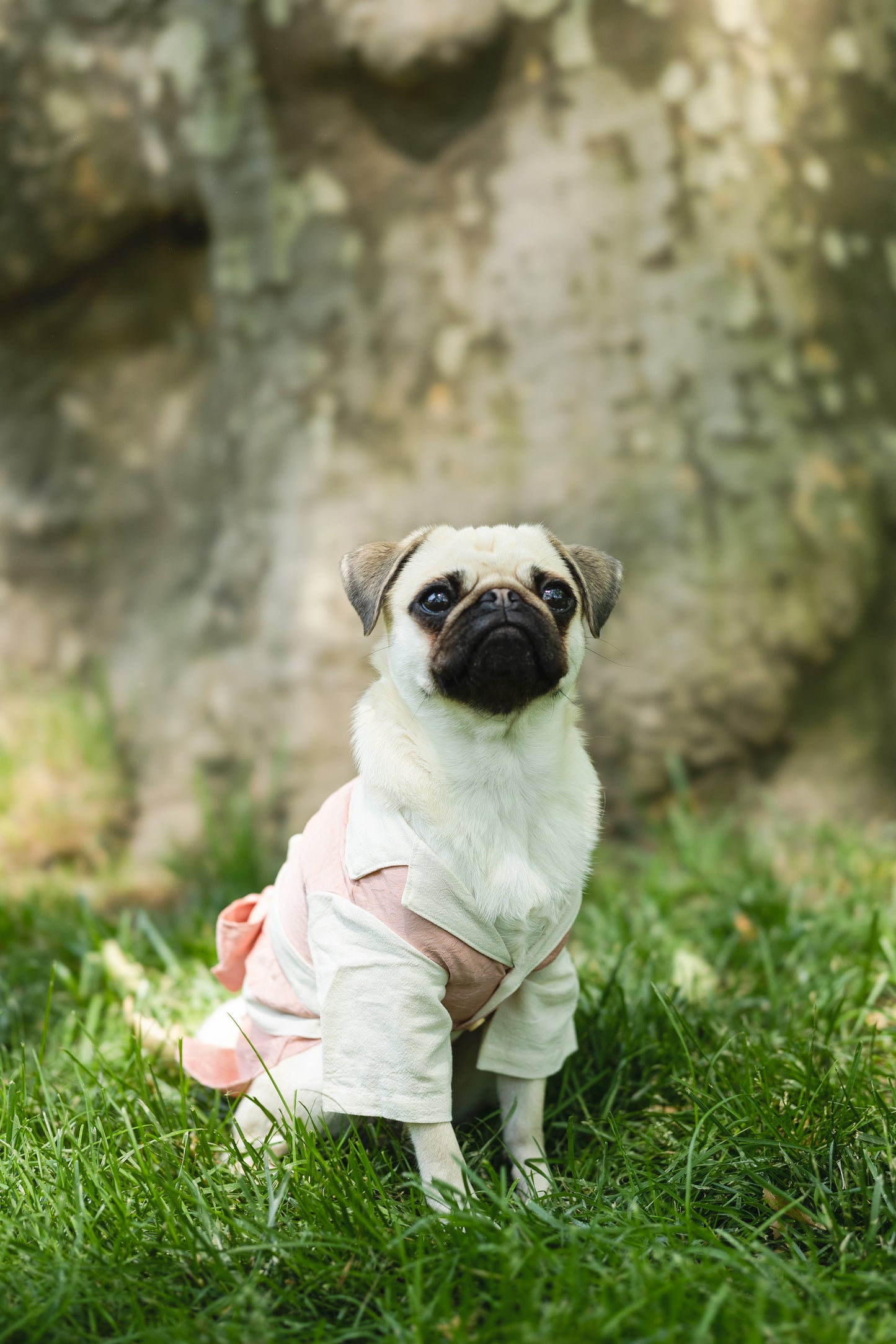 Asian Style Kimono