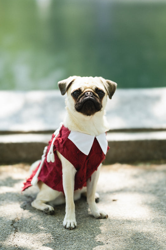 Oriental Tassel Vest